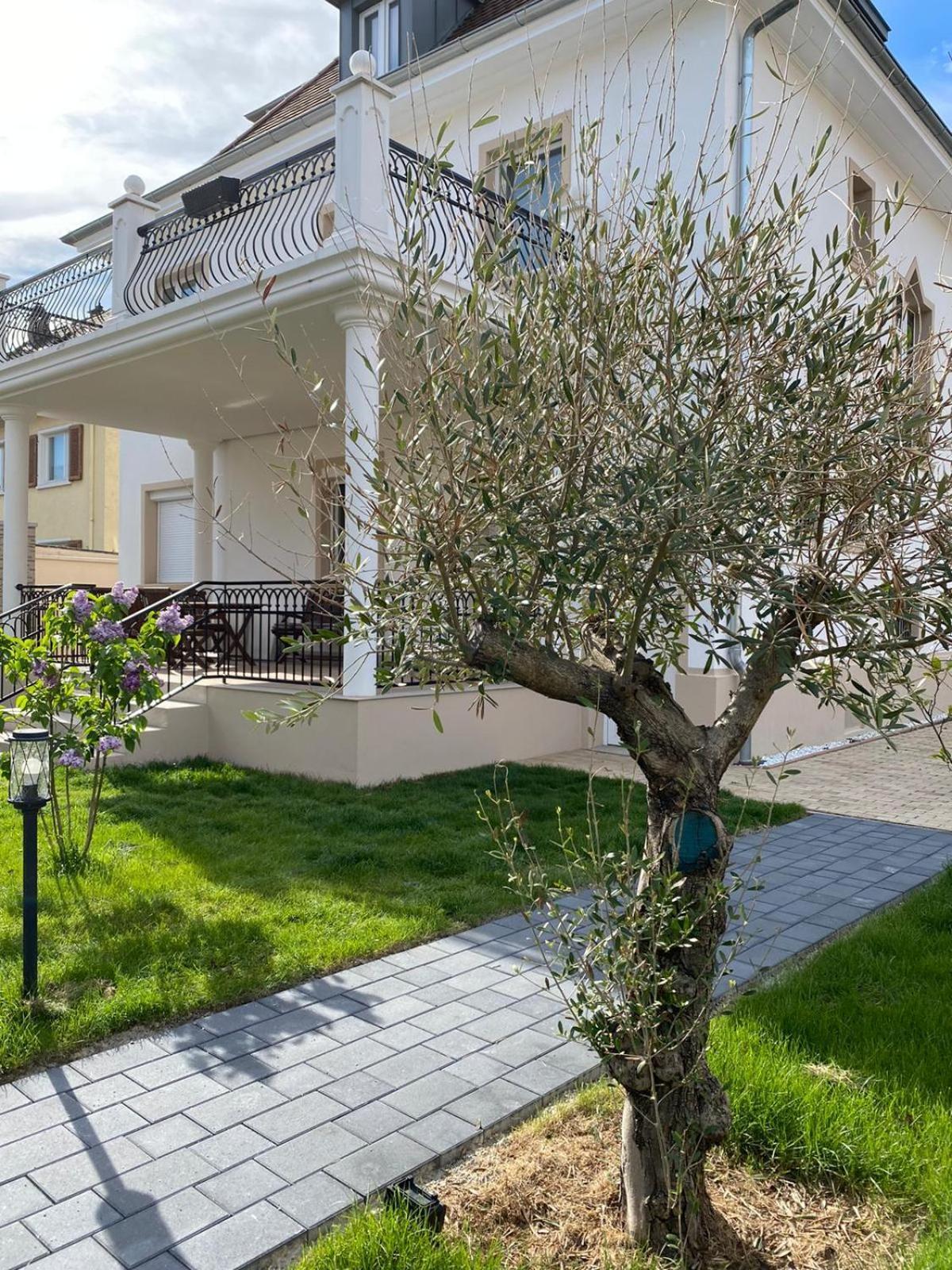 Primera Villa Singen Exterior photo